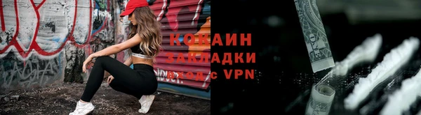 гашик Арсеньев