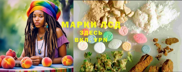 гашик Арсеньев