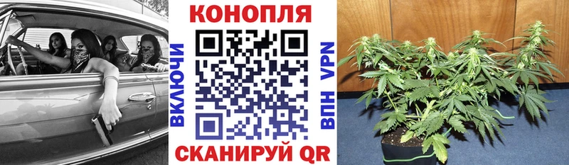 shop состав  Истра  Канабис семена 